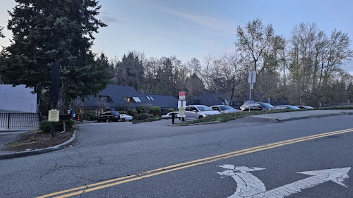 Sparrow Overflow Parking - Thumbnail