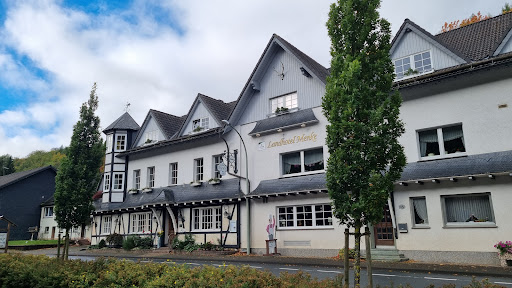 Landhotel Restaurant Menke Brilon-Wald Gallery - Germany