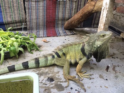 Photos of LAguna Farms