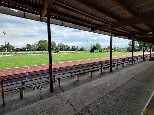 Jahn Stadium - Visual