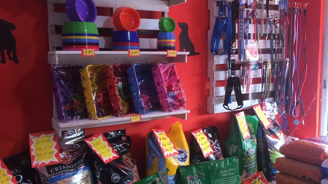 Las Lechuzas,Tienda para Mascotas, Author: Carlos Larramendy