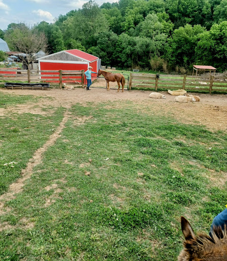 Piccolo farms animal sanctuary extension Gallery - United States