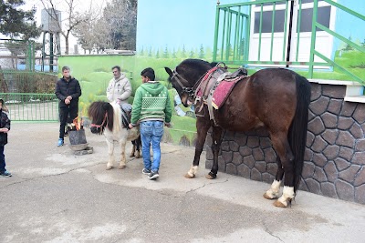 Photos of Vakil Abad Zoo