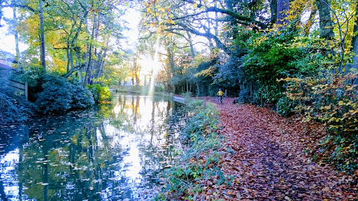 Calthorpe Park - Thumbnail