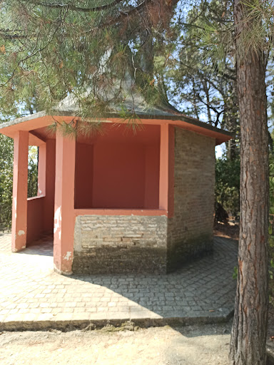 Parco Colle Celeste - Visual