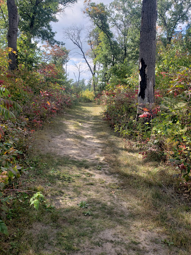 Bur Oak Welcome Station Gallery - United States