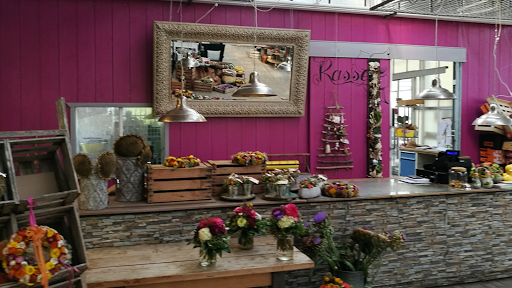 Blumen Manegold - Visual