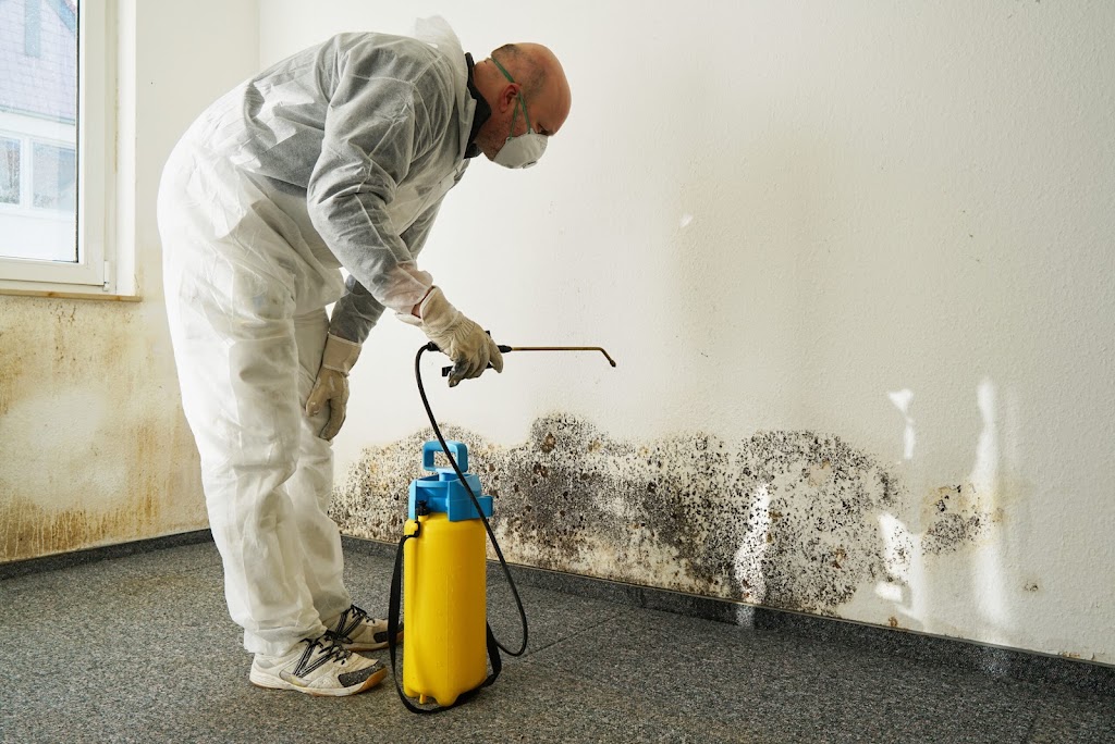 Paragon Water Damage photo