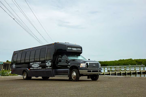 L3 LIMO - Visual
