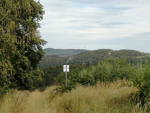 Eichenbiel - Visual