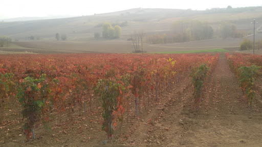 Pneumatici Dm Gallery - Italy