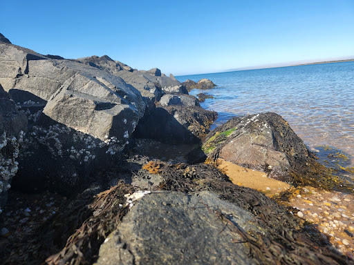 Fresh Pond Park, Amagansett - Thumbnail