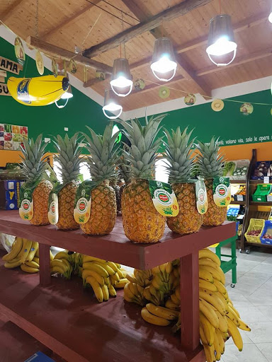 Fruit Fox - Visual