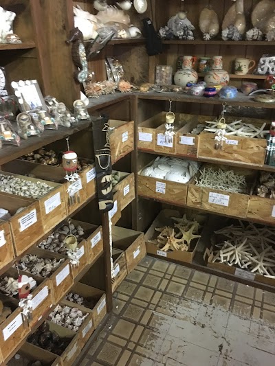 Bibbeys Shell Shop