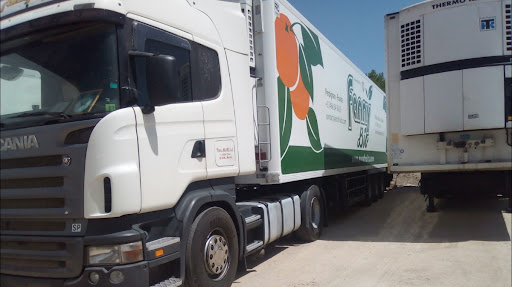 Trasportes Aloex