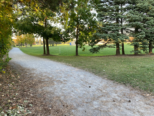 Elson Park - Visual