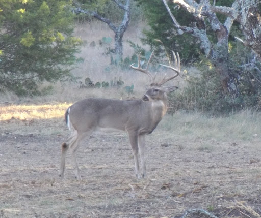 Double K Ranch - Thumbnail
