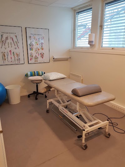 physiotherapist