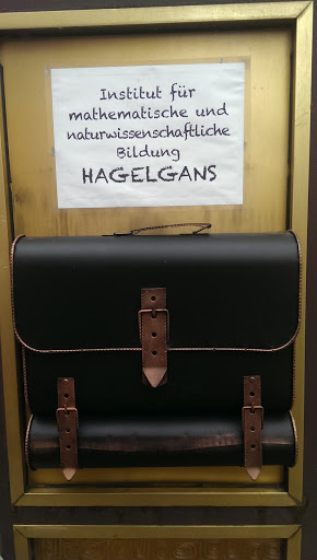 Institut für Mathematik und naturwissenschaftliche Bildung Hagelgans - Thumbnail