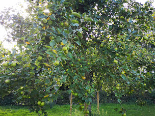 Photo n°19 de La ferme du Beaupré à Bonningues-lès-Ardres (Chambre d'hôtes)