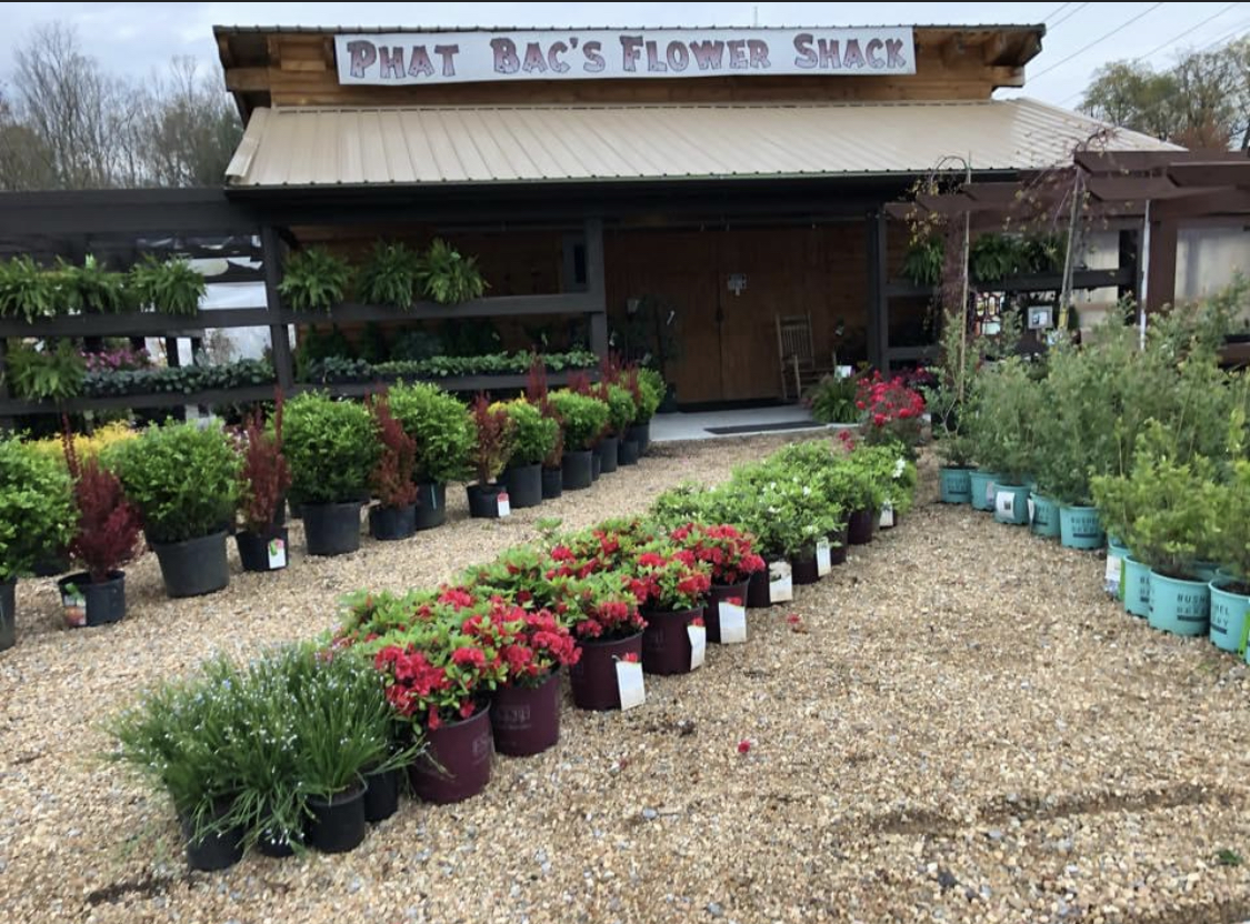 Phat Bac’s Flower Shack