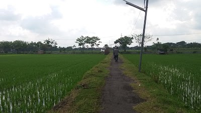 Cemetery