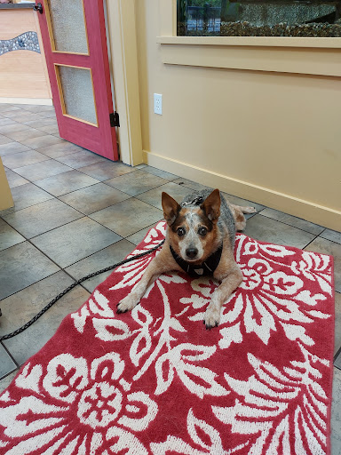Mid-Isle Veterinary Hospital