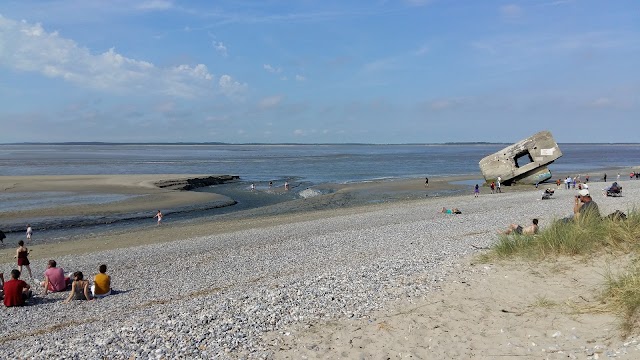 Pointe du Hourdel (pour voir les phoques)