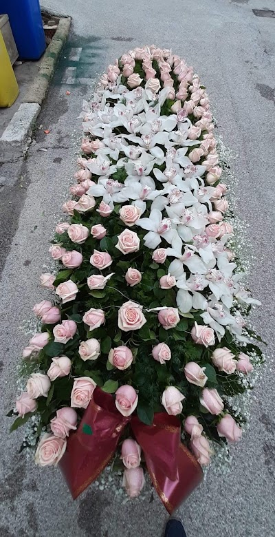 I FIORI DEL CORSO