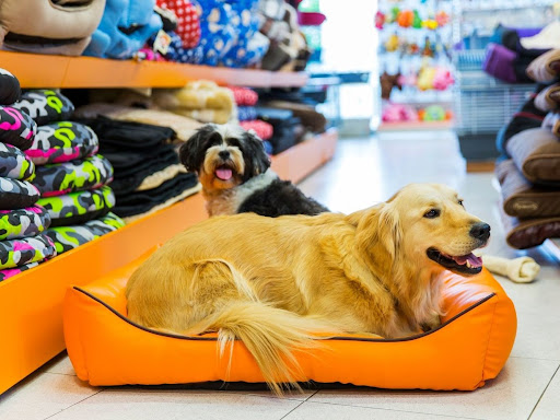 Pud Puds Pet Supplies Gallery - United Kingdom