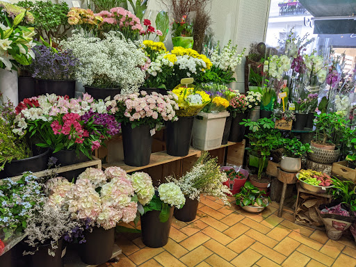 Fleurs de Mai Gallery - France