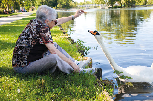 Photo de Fondation Partage et Vie - EHPAD Le Village - Saint-Georges-sur-Baulche à Héry (89550)