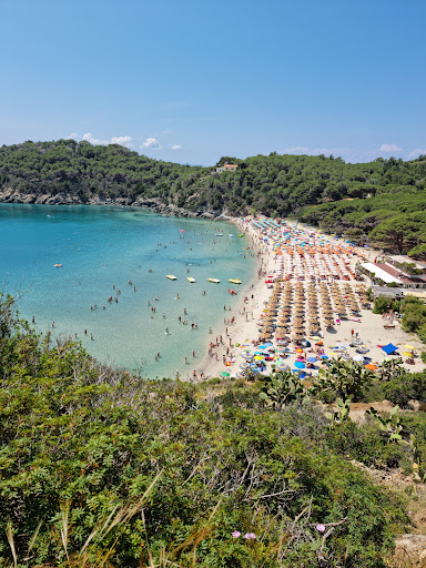 Calamara - Visual