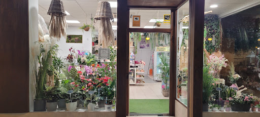 Bambu Floristas - Thumbnail