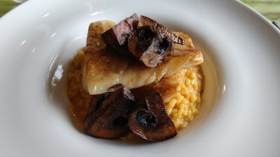 Photos of Oxalis Cocina