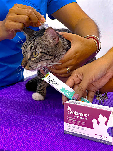 Clínica Veterinaria Zoovet