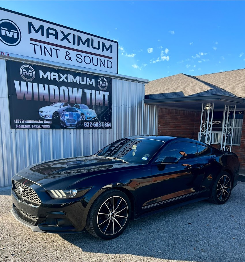Maximum Tint & Sound