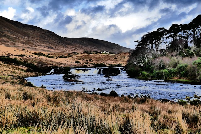 Ashleigh Falls