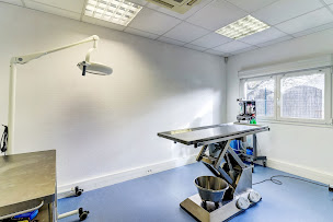 Photo n°6 de Clinique Vétérinaire Argos Beaune Veterinarium à Beaune (Vétérinaire)