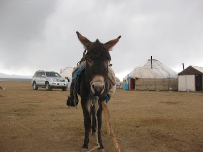 Photos of Kyrgyz Rent a Car