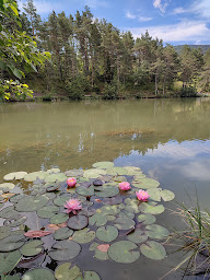 Photo n°15 de Noval immo à Saint-Vallier-de-Thiey (Agence de location immobilière)