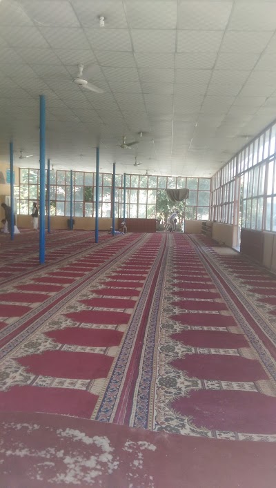 photo of مسجد جامع شیخ نجم الدین