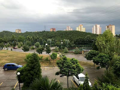 Basketball court