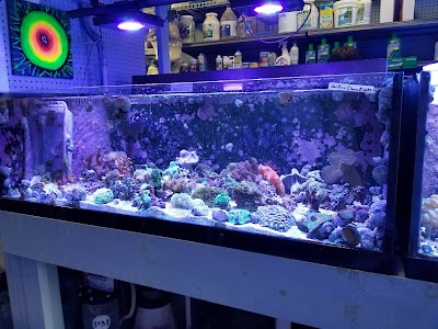 Sea Creature Aquarium