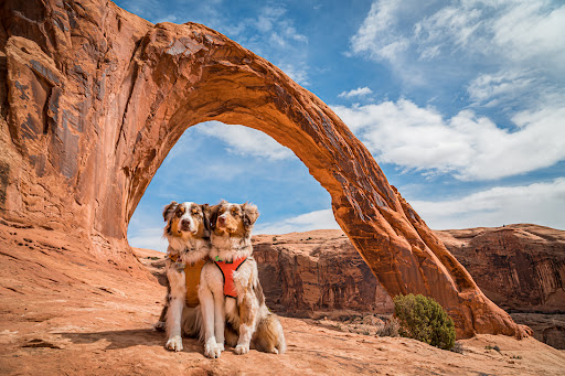 Corona Arch - Thumbnail
