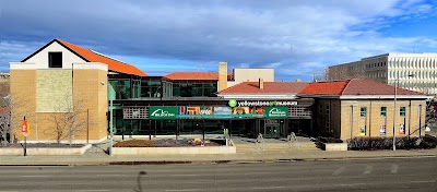 Yellowstone Art Museum