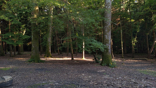 Parkwood Campsite - Thumbnail
