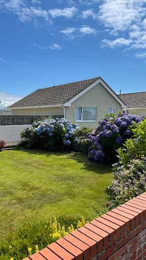 Barmouth Oasis Nursery - Thumbnail