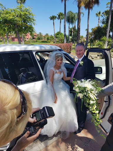 Diamond Limos - Visual