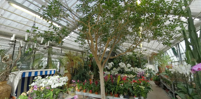 Blumen Müller